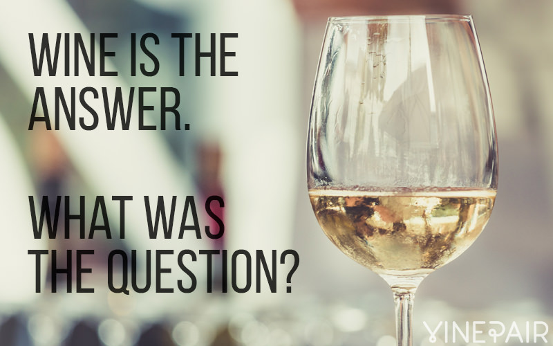 20 Funny Quotes Only Wine Lovers Will Understand | VinePair