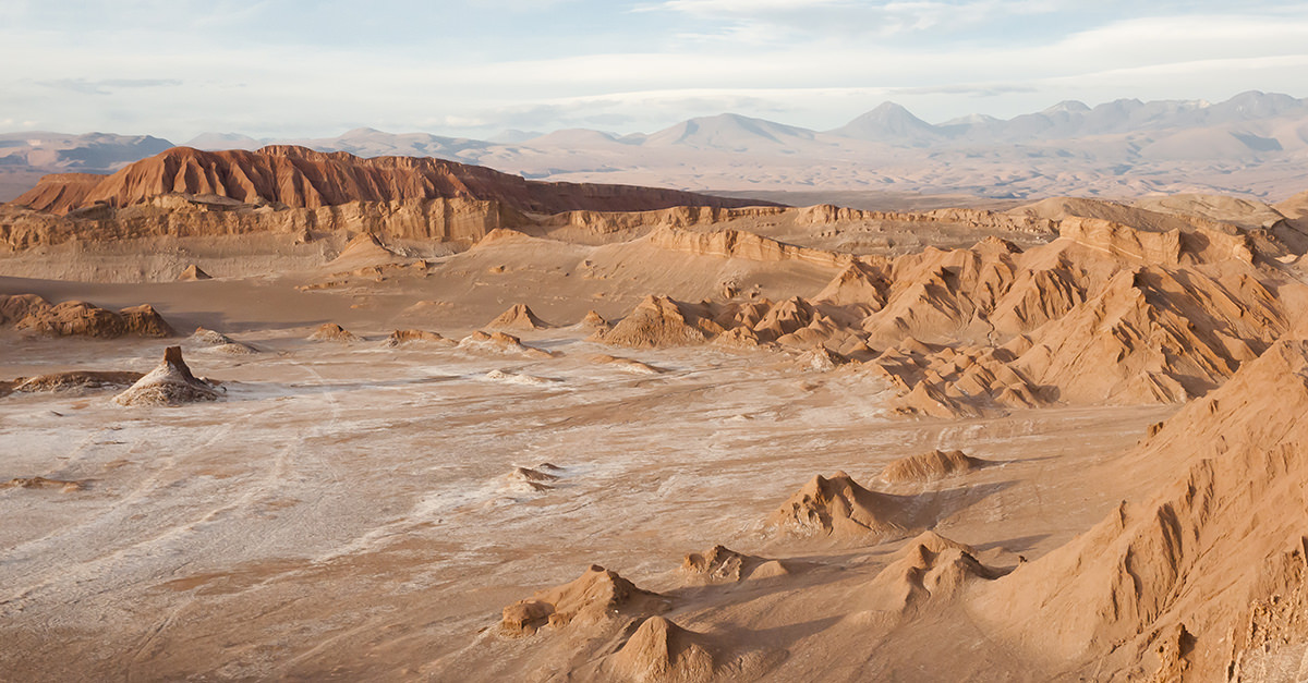 Chileans Are Harvesting Fog To Brew Beer In Earth's Driest Desert ...