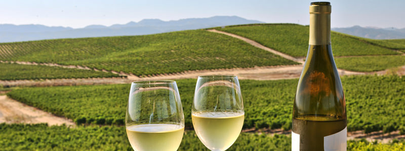 6 Facts About Chardonnay For Lovers And Haters Vinepair