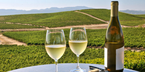 6 Facts About Chardonnay For Lovers And Haters | VinePair