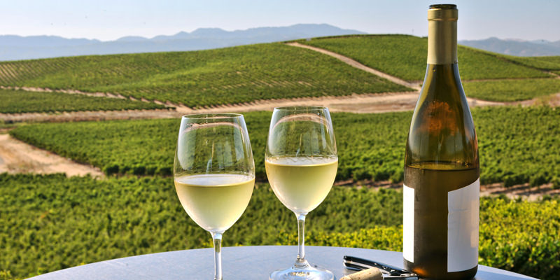 National Chardonnay Day - 6 Facts About Chardonnay For Lovers And Haters