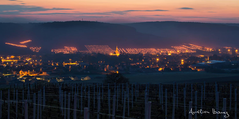 Winemakers Are Lighting Fires In The Vineyards To Fight Frost In Chablis