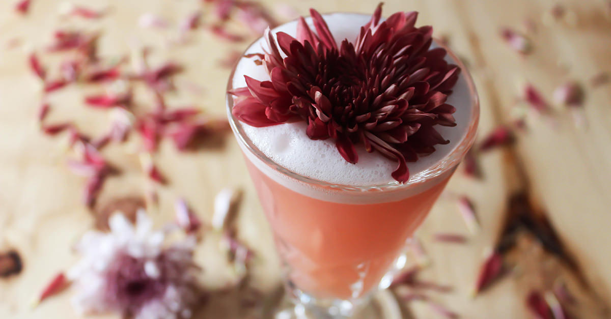 The Grapefruit Tequila Sour Recipe | VinePair