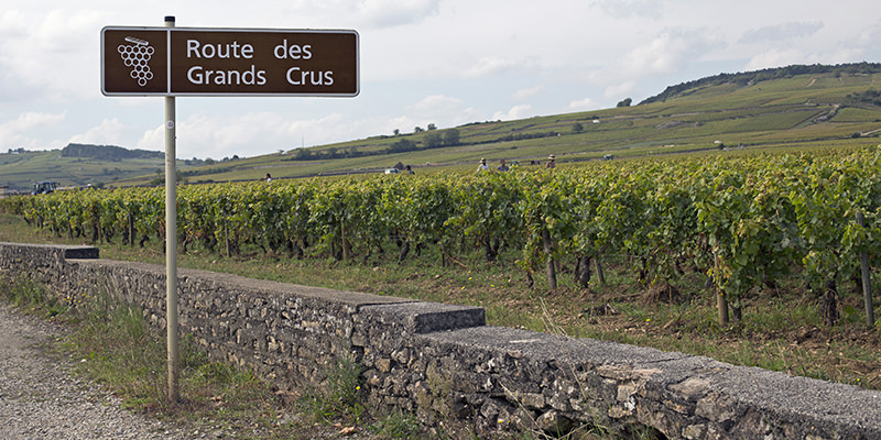 10 Things You Need To Know About Burgundy