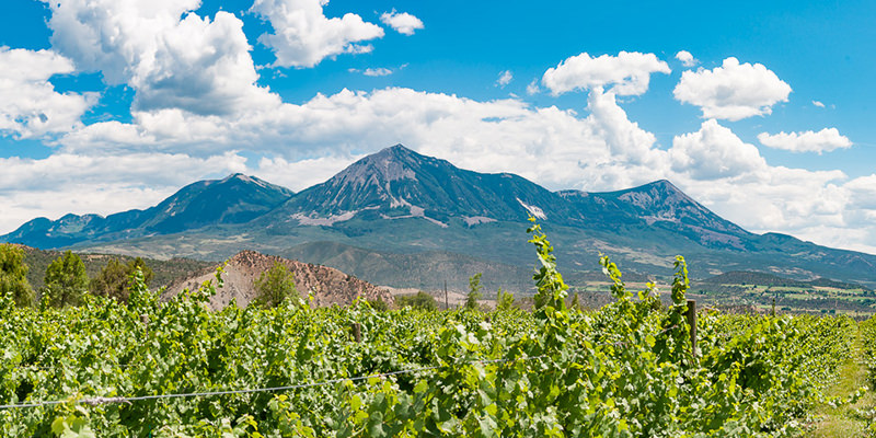 7 Undiscovered North American Wine Trails You Need To Know
