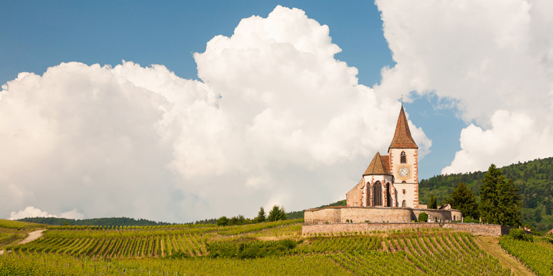 Get To Know Wines From Alsace, France