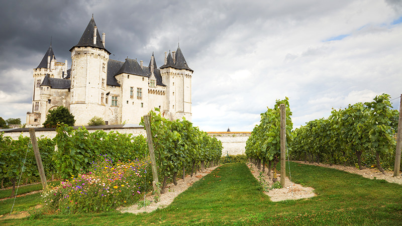 Château de Saumur - Loire Valley, France