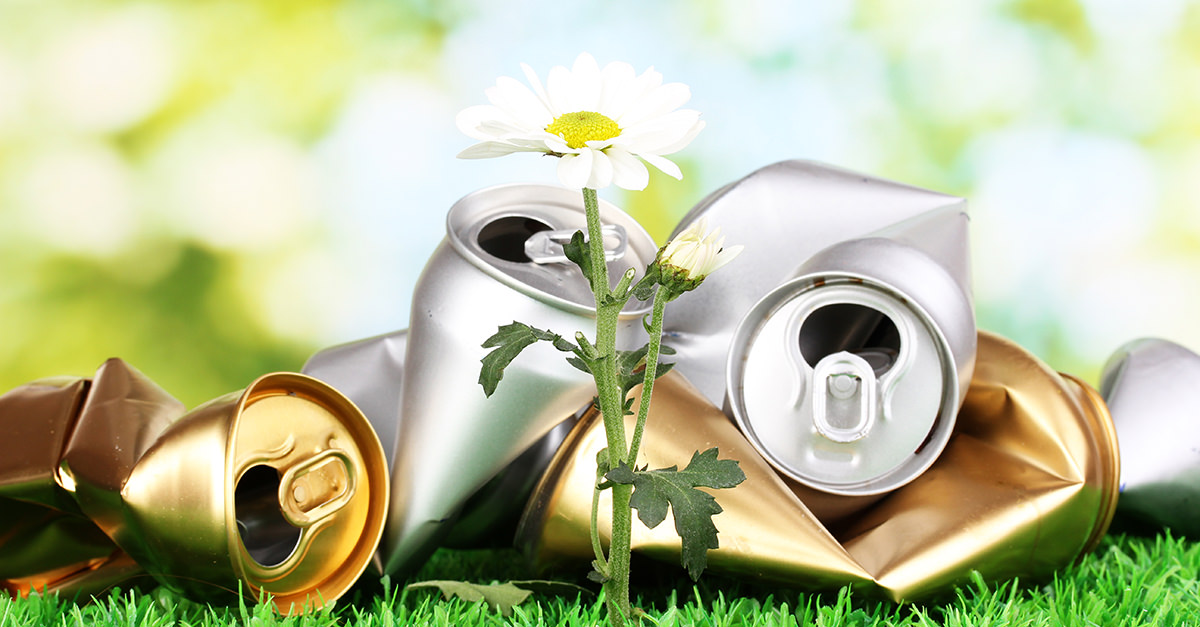 Drink The Beers From These 13 Breweries If You Care About Climate Change VinePair