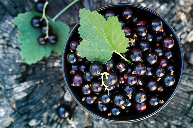 Black currants and wood, part of the core of Cabernet's flavor profile