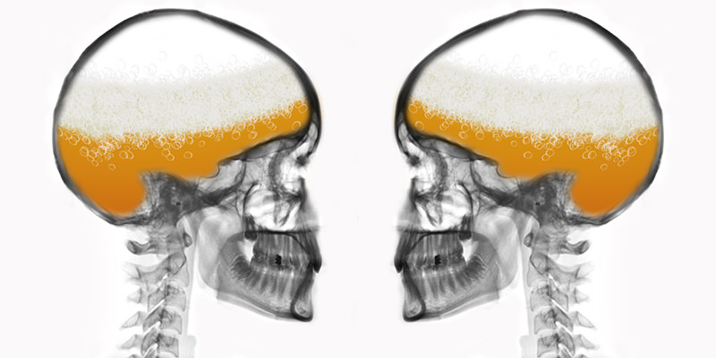 Study Finds one sip of Beer Makes Your Brain Crave More Beer
