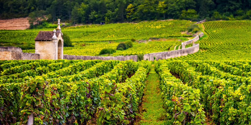 How to Make the Most of a Day Trip to Burgundy
