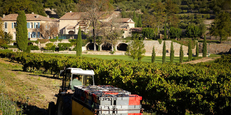 Brad Pitt And Angelina Jolie Winery For Sale