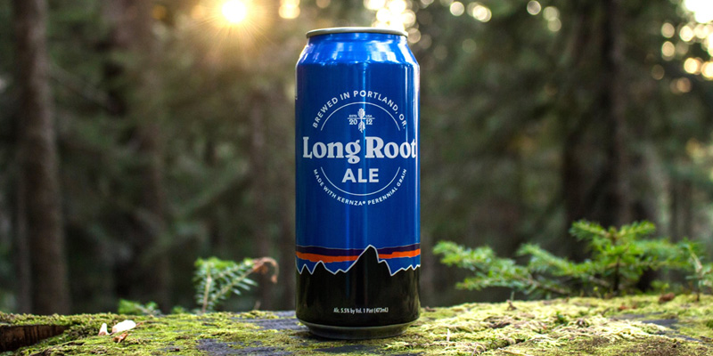 Patagonia Gets Into The Sustainable Craft Beer Business