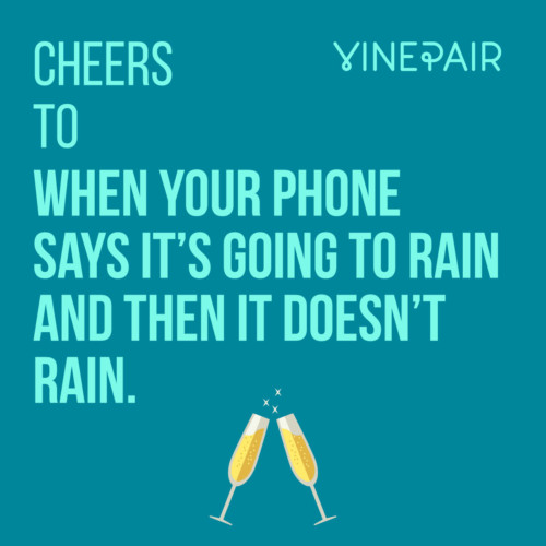 50 Things We Should Actually Say 'Cheers!' To VinePair