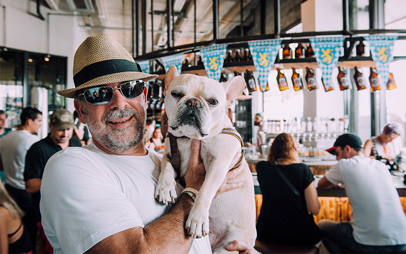 French bulldog in a brewery