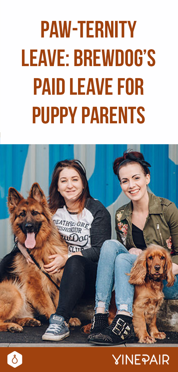 Pawternity Leave BrewDog's Paid Leave for Puppy Parents VinePair