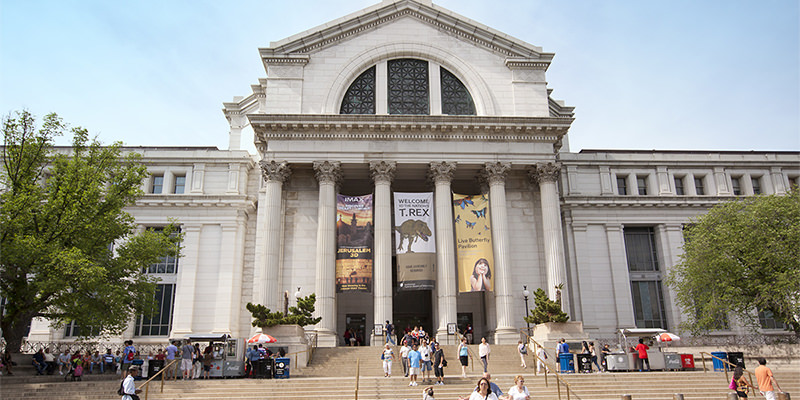 Smithsonian Museum Hires Beer Historian