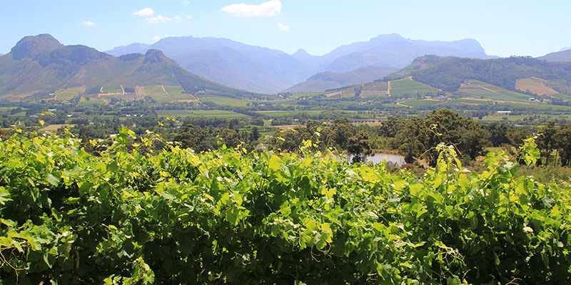 Franschhoek, South Africa is one of the 7 Off the Beaten Wine Regions to Visit in 2017