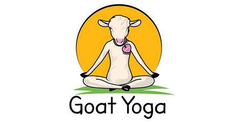 Goat Yoga Beer is Here