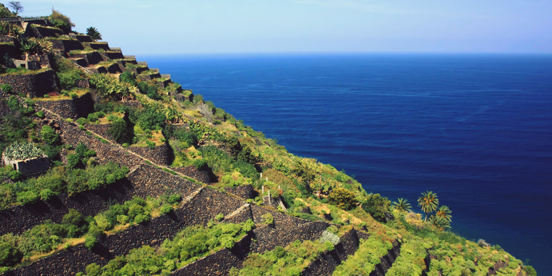 La gomera Guide to the wines of the Canary Islands
