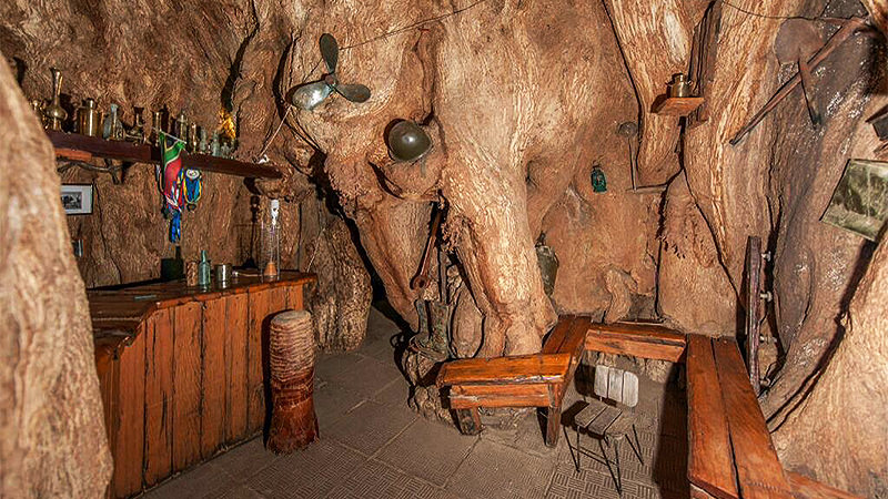 bar inside big baobab tree