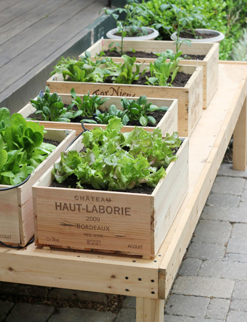 9 Charming Ways To Turn Wine Crates Into Rustic Furniture Garden Planters