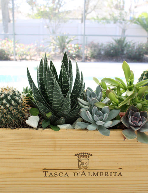 9 Charming Ways To Turn Wine Crates Into Rustic Furniture Succulent Planter