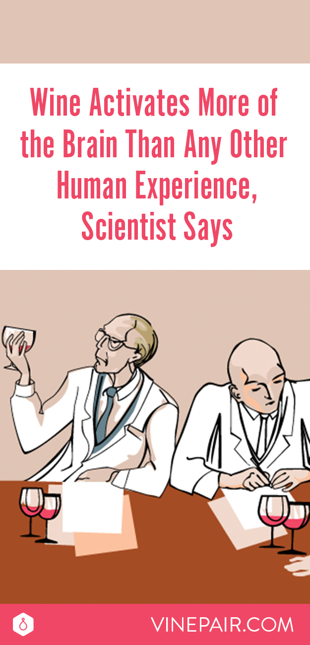 Wine Activates More of the Brain Than Any Human Experience, Scientist ...