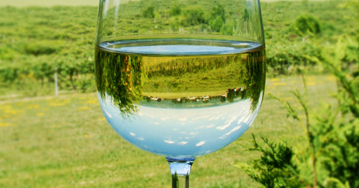 Why Does My Wine Smell Like Fresh Cut Grass?