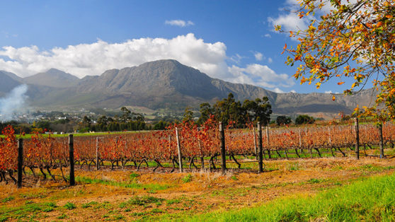 10 Magical Wine Regions You Need To Visit Before You Die | VinePair