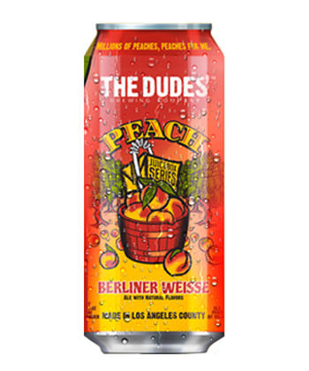 The Dudes Berliner Weisse is one of 10 summer beers to try this summer