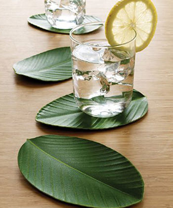 Dress up your drinks with these Heliconia Leaf coasters, perfect for all of your Instagram pics!
