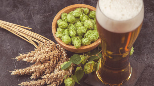 11 Questions About Ipa You Re Too Embarrassed To Ask Answered Vinepair