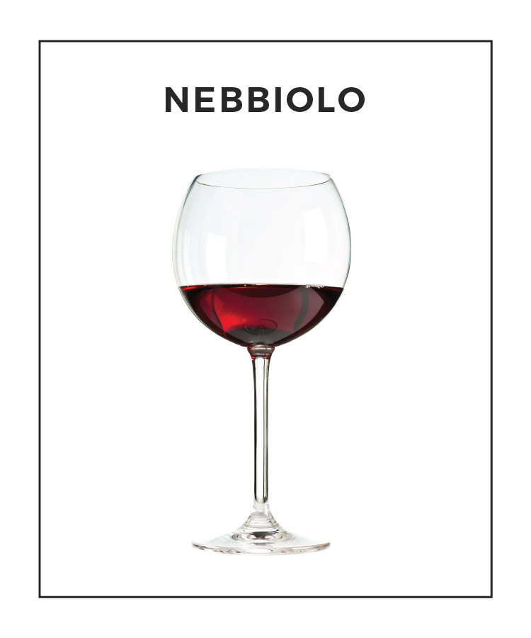 An Illustrated Guide to Nebbiolo