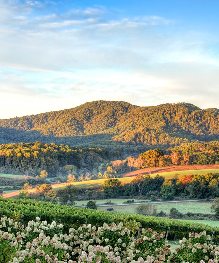 10 Incredible Wine Destinations to Visit Across America This Summer
