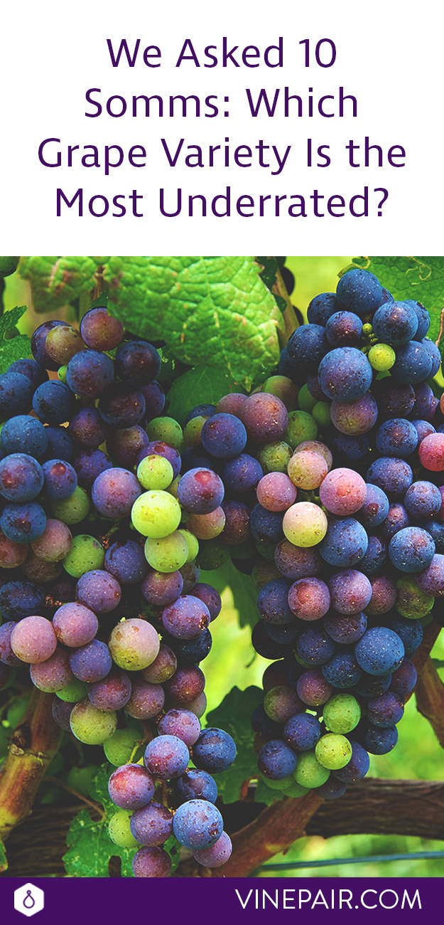 We Asked 10 Somms: Which Grape Variety Is the Most Underrated? | VinePair