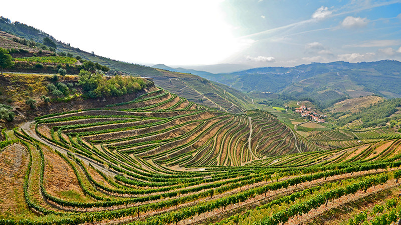 Douro Valley, Portugal is a Magical Wine Region to Visit In Your Lifetime