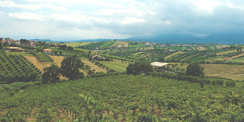 Abruzzo is one of the greatest wine escapes from Rome Fiumicino's airport