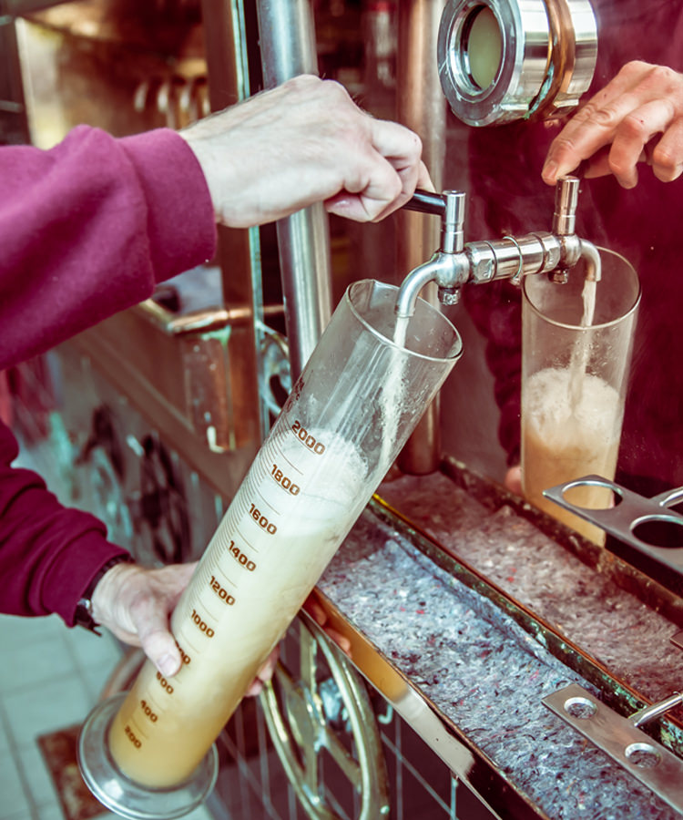 12 Colleges That Are Training Future Brewmasters