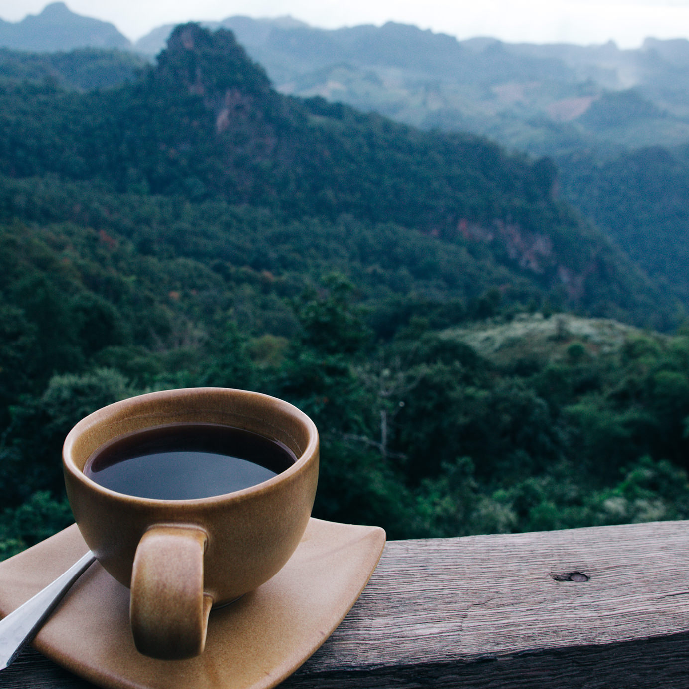 Does Coffee Have Terroir?