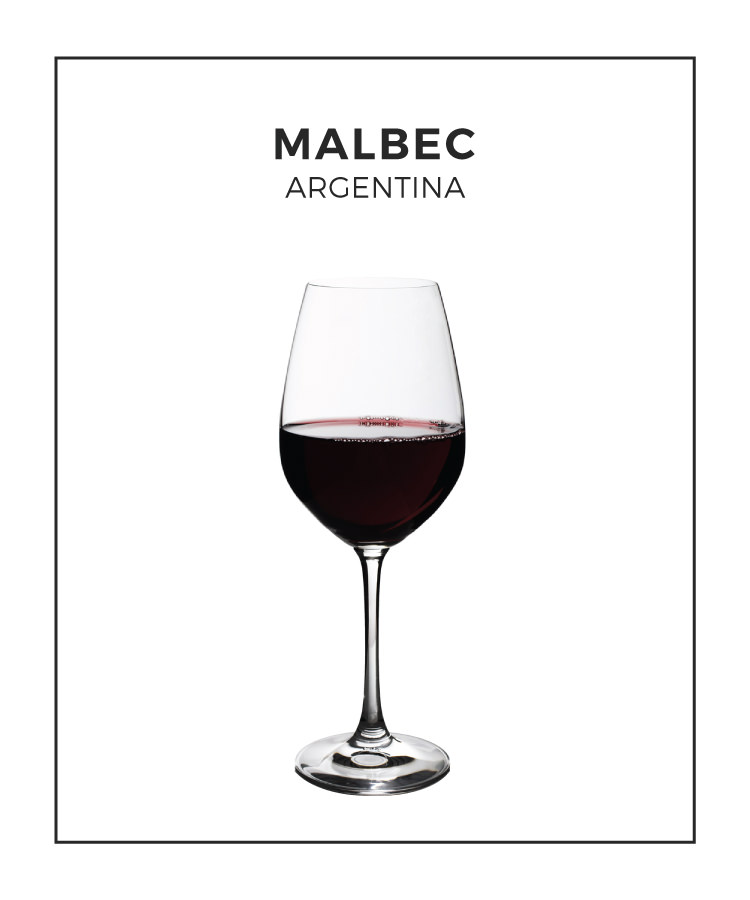 An Illustrated Guide to Argentinian Malbec
