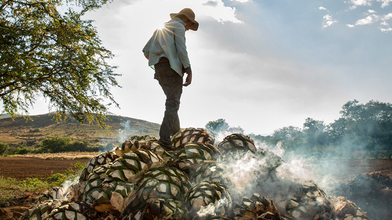 how mezcal will change after pernod ricard's purchase