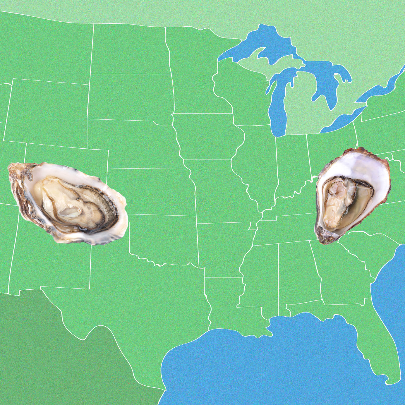East Coast vs West Coast Oysters: It All Comes Down to Merroir