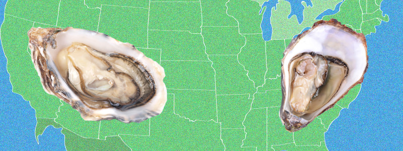 East Coast Vs West Coast Oysters It All Comes Down To Merroir Vinepair