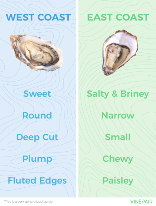 East Coast vs West Coast Oysters: It All Comes Down to Merroir | VinePair