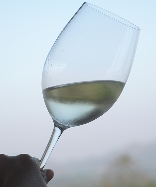 9 Questions About Riesling That You’re Too Afraid to Ask, Answered
