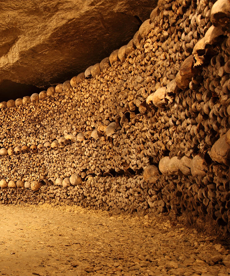 Thieves Stole $300,000 of Wine Using the Paris Catacombs