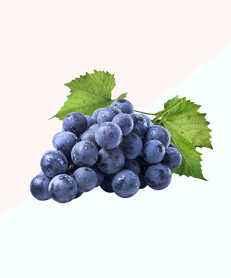 On Winemaking: Vitis What?! Making Wine With Hybrid Grapes