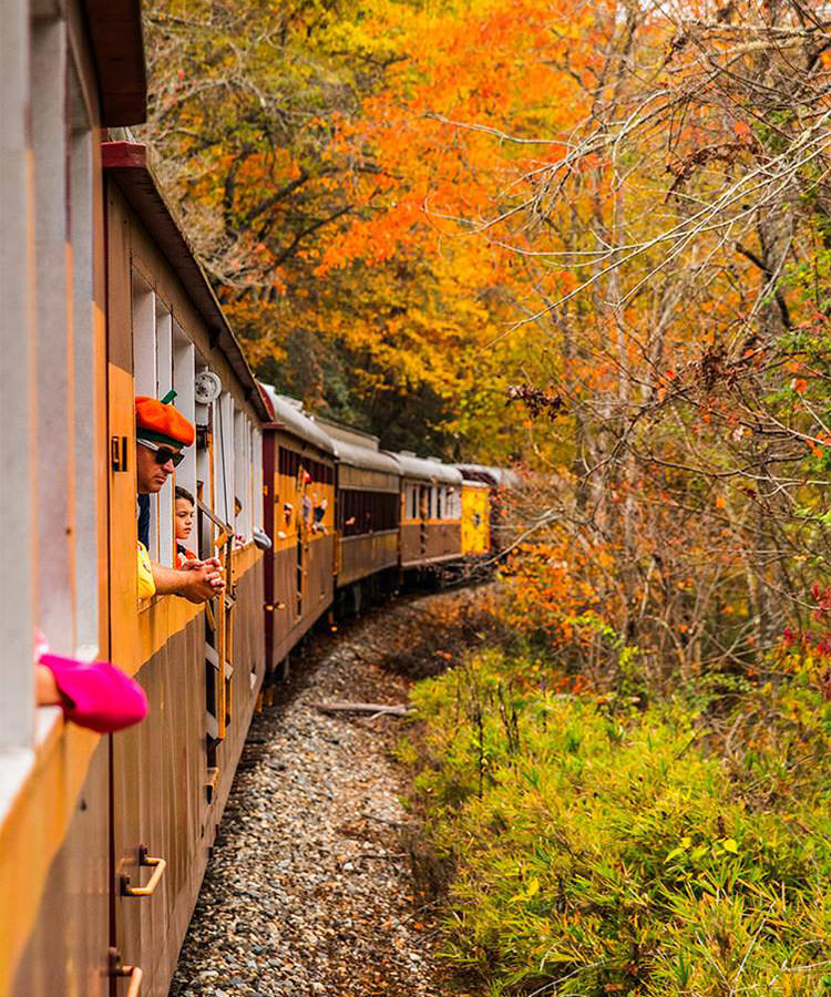 Take a Wine-Fueled Train Ride Through the Smoky Mountains