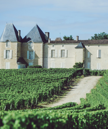 Bordeaux Wine – The Bordeaux Basics Guide